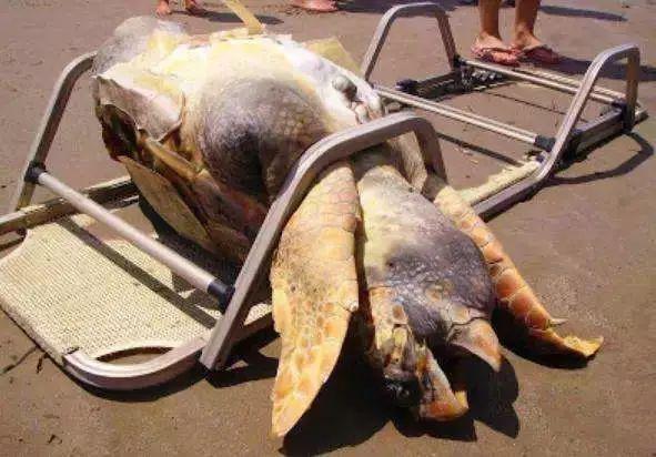 1634630883621577.jpeg 14.jpeg